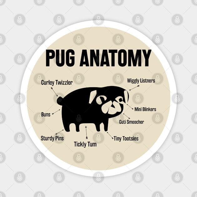 Pug Anatomy Magnet by StarWheel